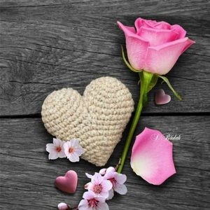 Meet your Posher, Ahmad